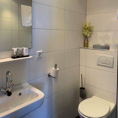 GasteRhoon Groep - wapen van rhoon - hotelkamer - badkamer - toilet - wasbak